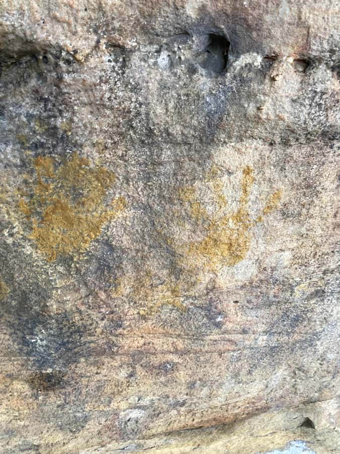 Sydney: Ku-ring-gai National Park with swim and picnic - The walk-down to water and the chance to swim