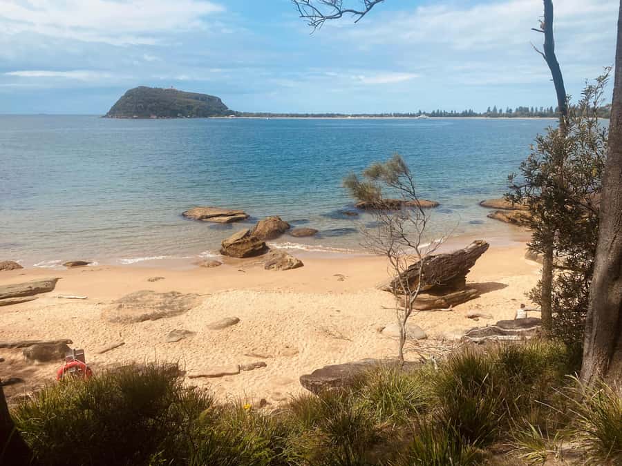 Sydney: Ku-ring-gai National Park with swim and picnic - More viewpoints and the Mooney Mooney food tasting stop