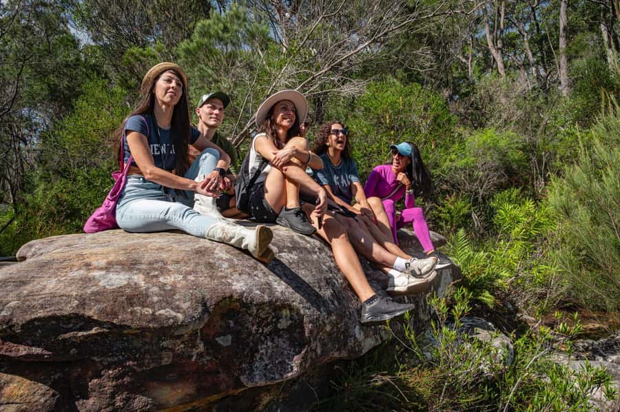 Sydney: Ku-ring-gai National Park with swim and picnic - Weather matters: what happens if swimming is off