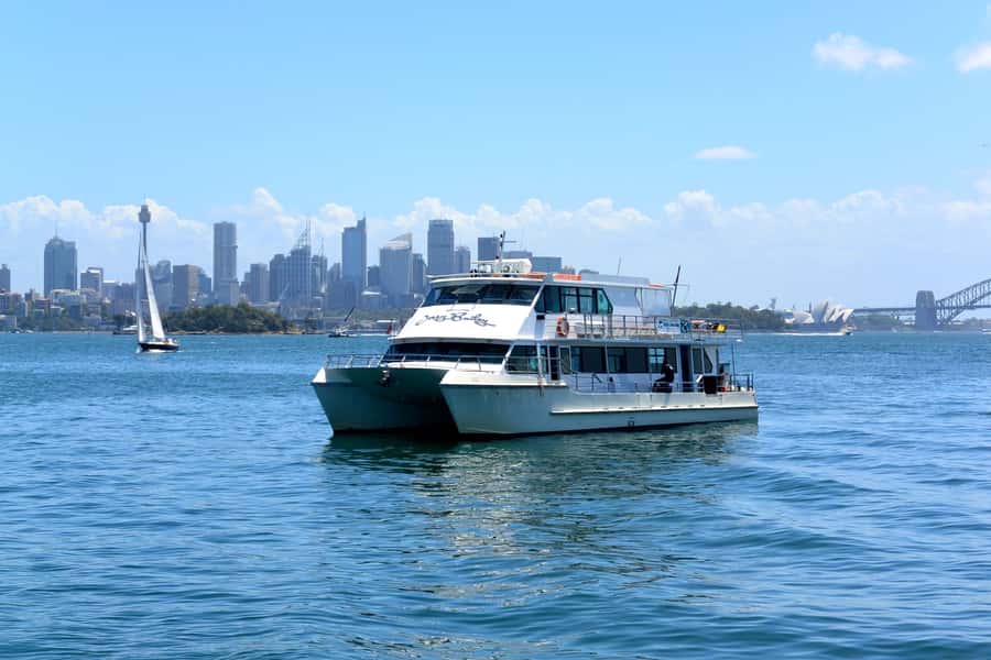 Sydney: Morning Sightseeing Bus to Bondi with Lunch Cruise - Bondi Beach free time: quick stroll, big payoff
