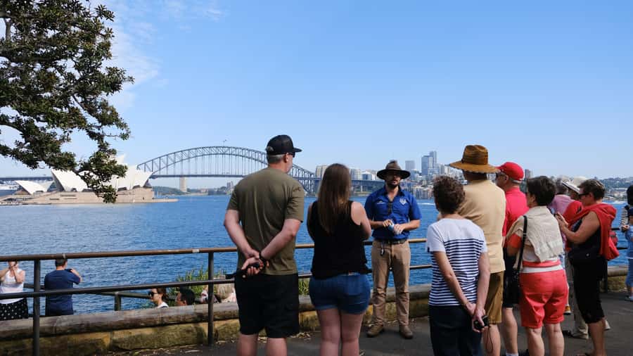 Sydney: Morning Sightseeing Bus to Bondi with Lunch Cruise - Circular Quay lunch cruise: where the harbour views slow down