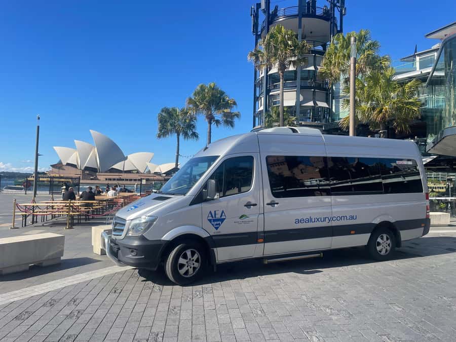 Sydney: Morning Sightseeing Bus to Bondi with Lunch Cruise - Timing and pacing: how not to feel rushed