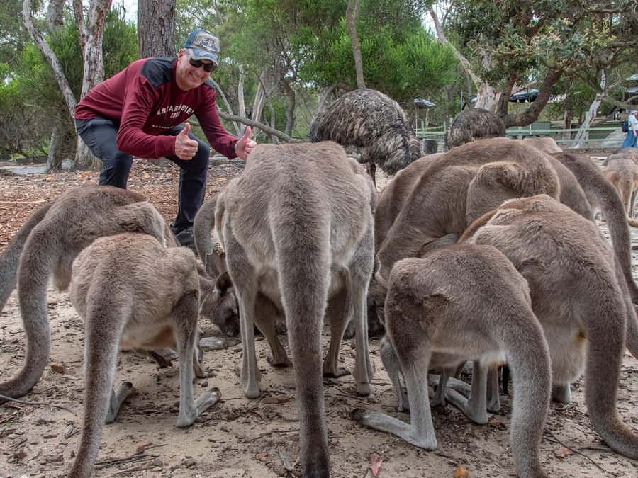 Sydney: Nature and Wildlife - Australia in One Day - Gosford: chocolate views, plus tastings if you choose them
