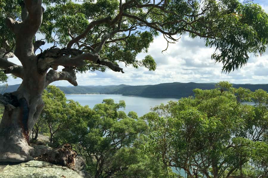 Sydney: Northern Beaches and Ku-ring-gai National Park Tour - Key takeaways before you go