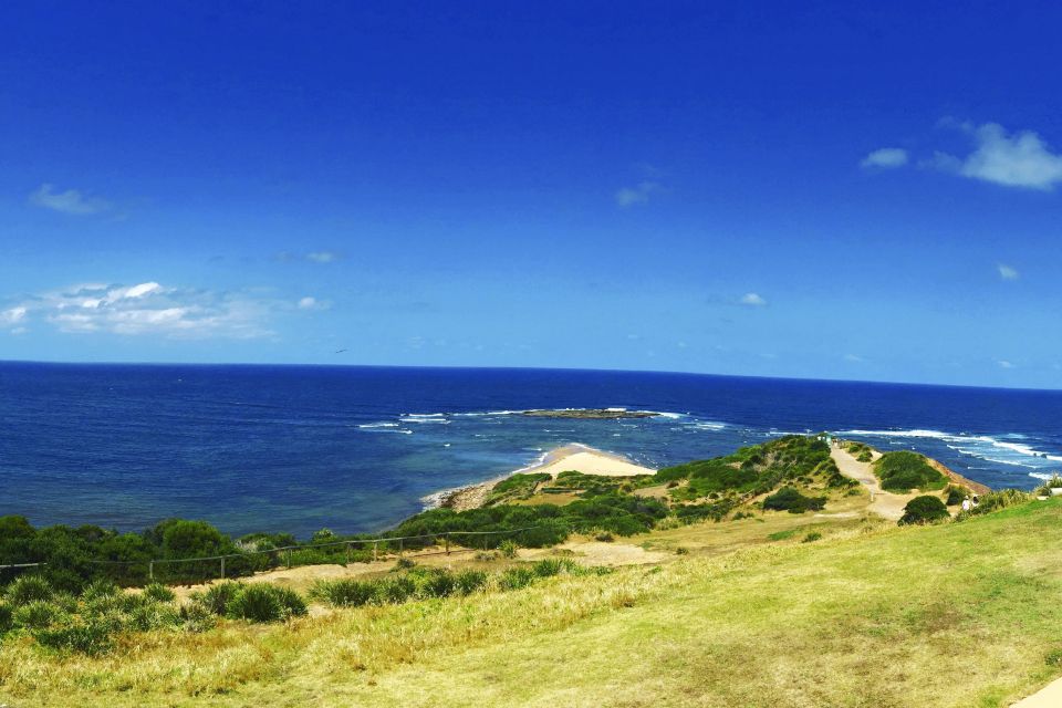 Sydney: Northern Beaches and Ku-ring-gai National Park Tour - Who this tour fits best (and who should skip it)