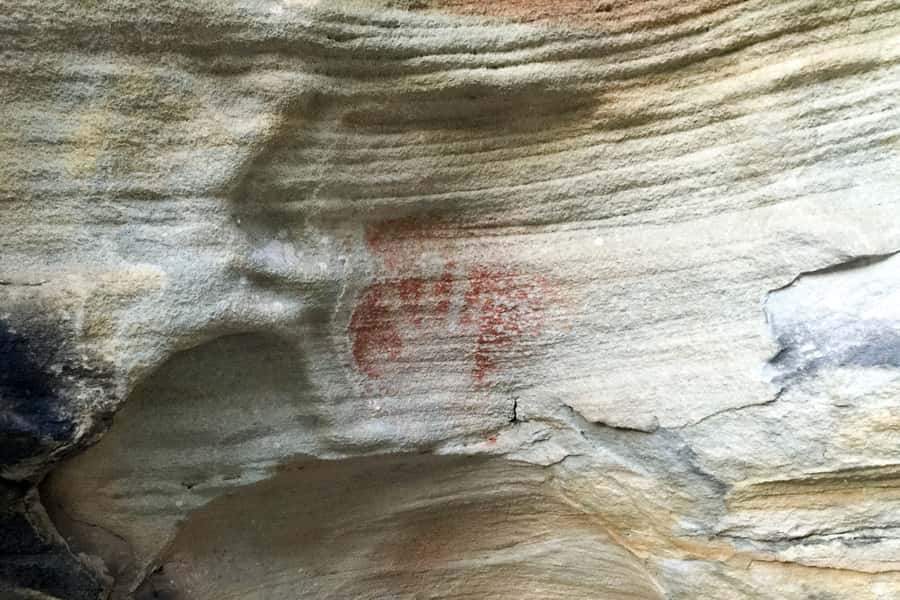 Sydney: Northern Beaches and Ku-ring-gai National Park Tour - Narrabeen Beach and Long Reef Headland: surf views and whale odds