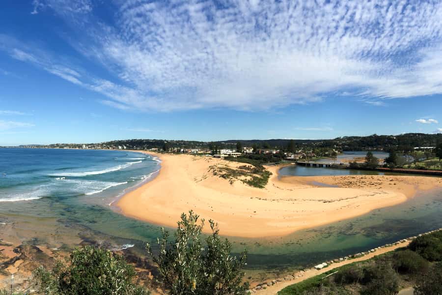 Sydney: Northern Beaches and Ku-ring-gai National Park Tour - What the full-day pace really feels like (and where you’ll spend your energy)