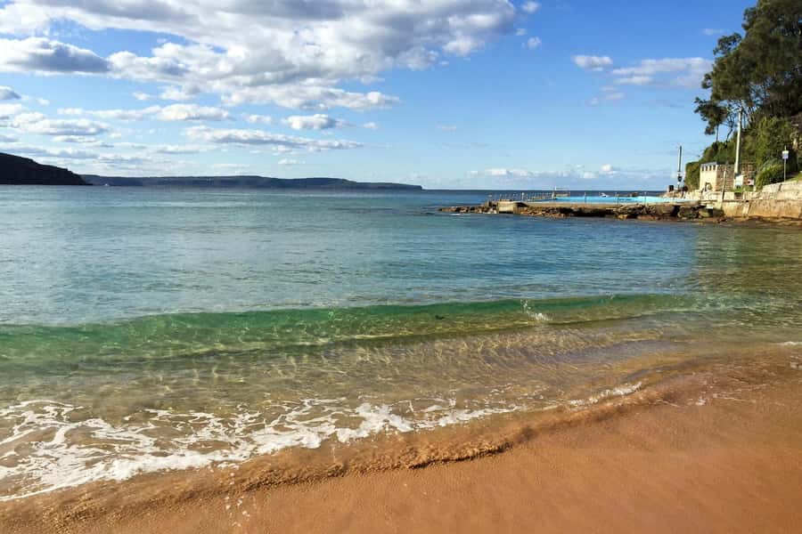 Sydney: Northern Beaches and Ku-ring-gai National Park Tour - Ku-ring-gai Chase National Park: bush walk and Aboriginal rock engravings