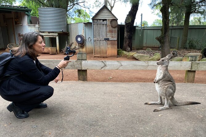 Sydney Opera House and Aussie Animals Private Tour - Key highlights at a glance