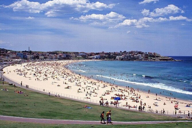 Sydney Port Private Departure Transfer: City Hotel to Cruise Port - Price and value: is $32.03 per person actually a good deal?