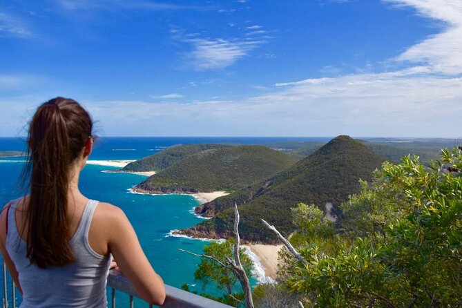 Sydney: Port Stephens Sandboarding, Dunes & Dolphin Cruise option - Anna Bay Dunes: 4WD Safari and Sandboarding on Moving Sand