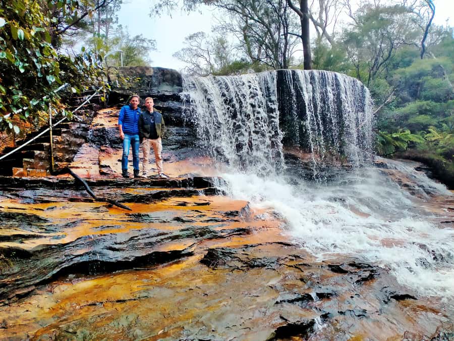 Sydney: Private Blue Mountains, Waterfalls, Walks & Meals - From Sydney pickup to Calmsley Hill City Farm: the day starts with breathing room