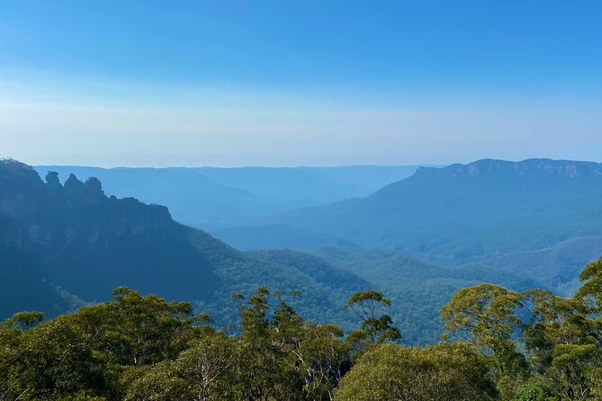 Sydney: PRIVATE Blue Mountains, Wildlife & Cruise Luxe Tour (10h) - What You’re Paying For: Price, Inclusions, and Real Value