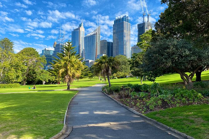 Sydney: PRIVATE City Highlights & Ocean Front Luxe Tour (4h) - The Gap lookout: cliff views, Eastern Suburbs scenery, and that harbour feeling
