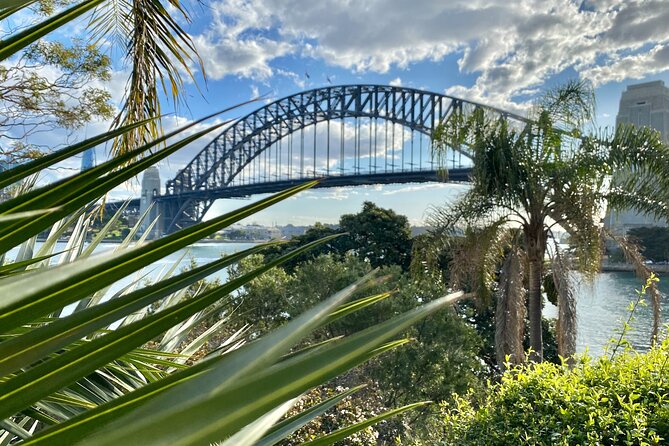 Sydney: PRIVATE City Highlights & Ocean Front Luxe Tour (4h) - Darling Harbour and Paddington drive-by views: Victorian charm meets modern waterfront