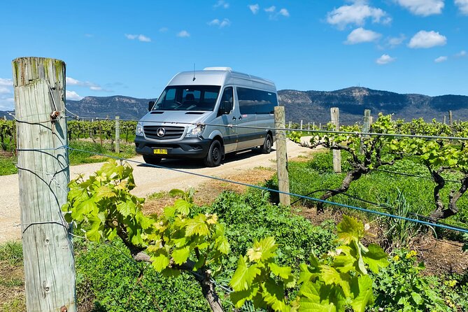 Sydney: PRIVATE Hunter Valley Wine Tasting Luxe Tour (10h) - Should you book this Hunter Valley private wine tour?