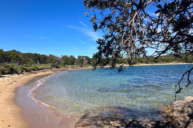 Sydney Private Tour Inc The Royal National Park and Symbio Zoo - Sea Cliff Bridge: the iconic walk for those last photos
