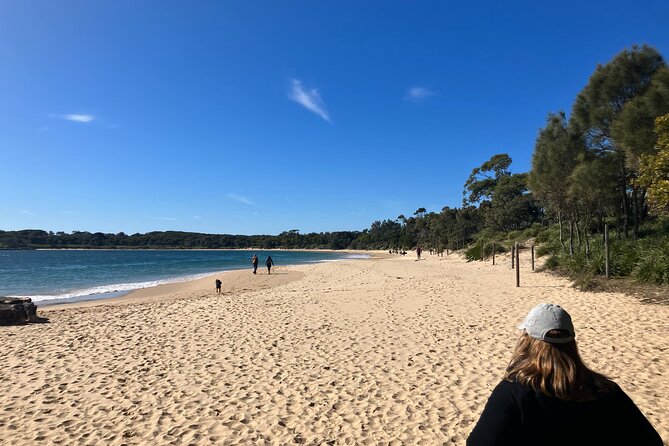 Sydney Private Tour Inc The Royal National Park and Symbio Zoo - How much walking is realistic for most people?