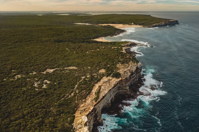 Sydney: Royal National Park Day Trip with Picnic and Swim - Key Things to Know Before You Go