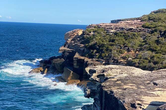 Sydney: Royal National Park Day Trip with Picnic and Swim - Wattamolla Beach Picnic and Swim Break