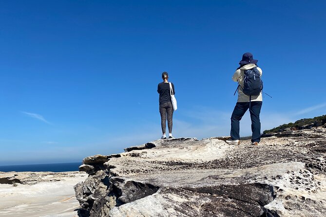 Sydney: Royal National Park Day Trip with Picnic and Swim - Who This Tour Suits Best (and Who Might Want Another Option)