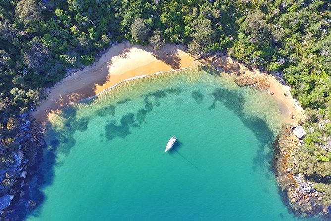Sydney Secrets Lunch Cruise - Key highlights at a glance