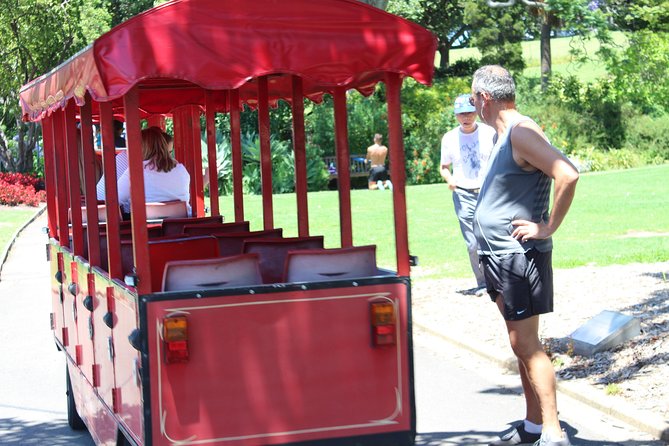 Sydney Shore Excursion: Half-Day Sydney City Highlights and Manly - Why this Manly-and-Harbour route is smart for short ports