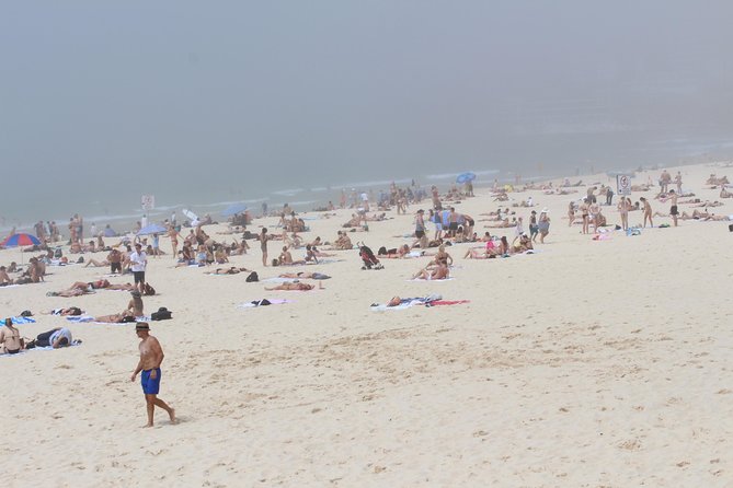 Sydney Shore Excursion: Half-Day Sydney City Highlights with Bondi Beach and Watsons Bay - Price and Value: Where the Money Really Goes