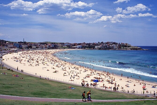 Sydney Shore Excursion: Half-Day Sydney City Highlights with Bondi Beach and Watsons Bay - Port Pickup and the Minivan Rhythm