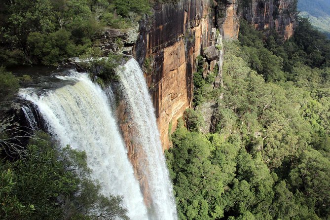 Sydney South Coast to Country Private Tour | Grand Pacific Drive - Sea Cliff Bridge Walk: Fast, Scenic, and Worth the Steps