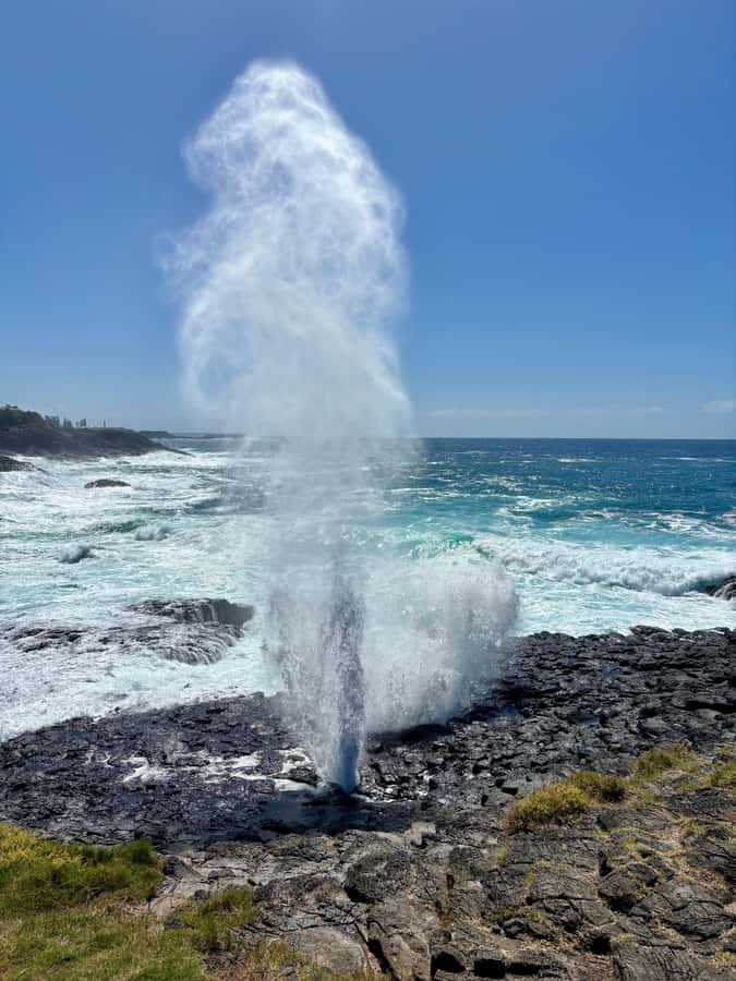Sydney: Southern Highlands and South Coast Private Tour - Bald Hill Sublime Point and Sea Cliff Bridge: big views with breathing room