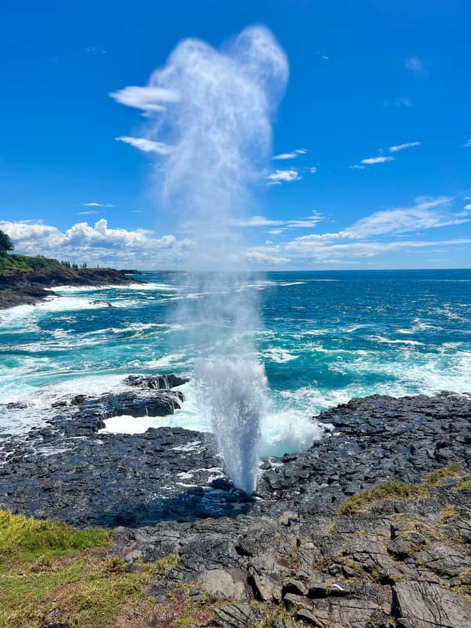 Sydney: Southern Highlands and South Coast Private Tour - Fitzroy Falls (80 meters) and Somersby Falls: waterfall time done right