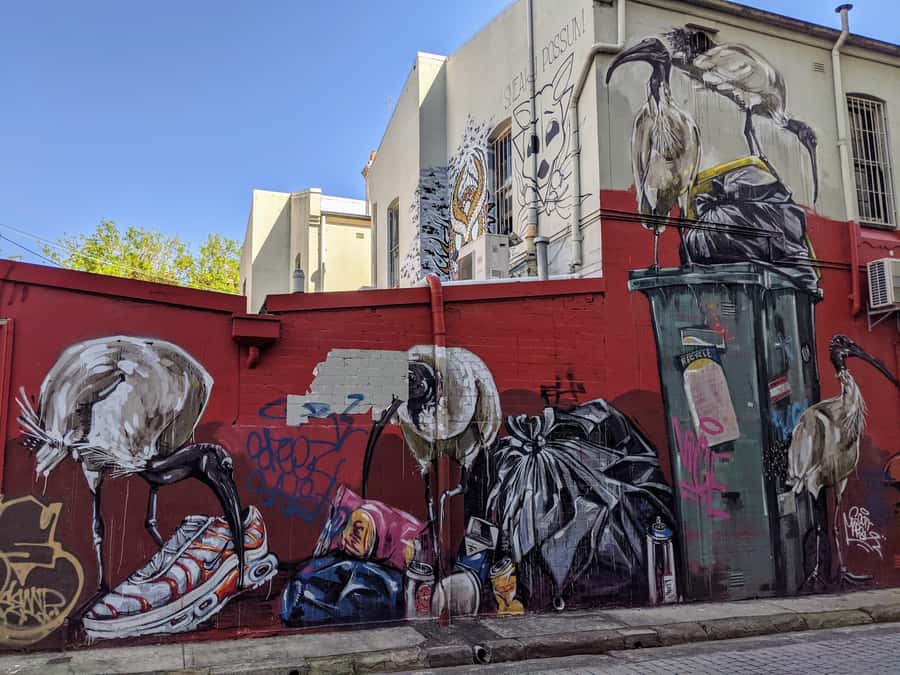 Sydney: Street Art & Small Bar Tour with Complimentary Drink - Street art and small bars in one tight 3-hour plan