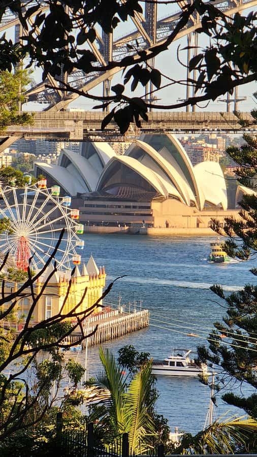 Sydney: Sunset Kayak - Opera & Harbour Bridge Tour (5p. max) - Paddling toward the Harbour Bridge: control, not speed