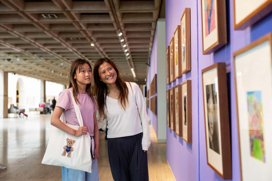 Sydney: Tickets & Tours at Art Gallery of New South Wales - Picking the right option: Australian Art Stories vs Ron Mueck vs the Art Pass