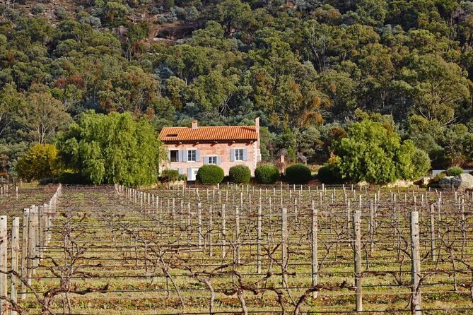 Sydney to Hunter Valley Wine Tour | Gin, Lunch, Chocolatier Visit - Lunch at Keith Tulloch: What You Pay and Why the Setting Matters