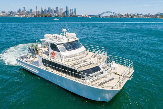 Sydney Whale Watching Adventure Cruise - Key things that make this cruise worth a look