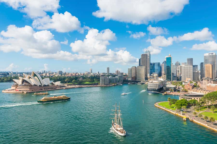 Sydney: Whale Watching Cruise and Taronga Zoo Package - Whales are wildlife: the sighting policy (and the part to understand clearly)