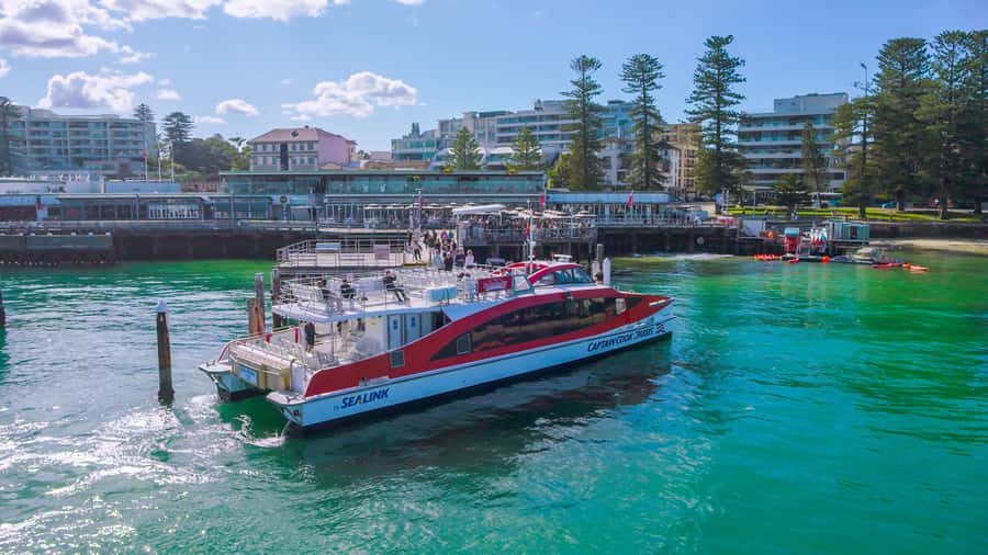 Sydney: Whale Watching & Hop On Hop Off Cruise Package - Day One Whale Watching: Guarantee, Commentary, and a 150-Minute Window
