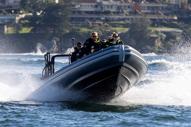 Sydney Whale Watching on Small RIB - The 12-passenger RIB setup that makes whale spotting feel possible