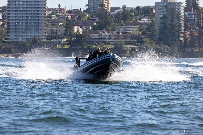 Sydney Whale Watching on Small RIB - Circular Quay start: Opera House and Harbour Bridge before the ocean work