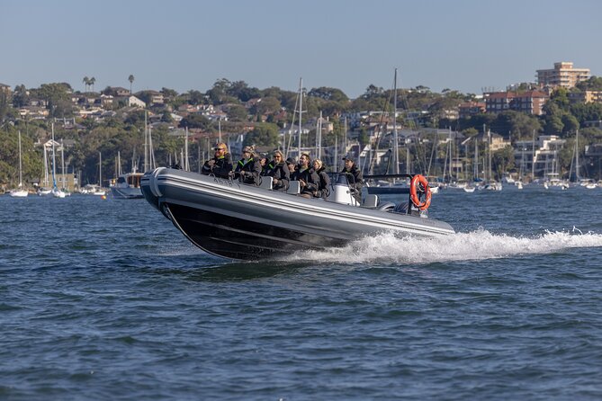 Sydney Whale Watching on Small RIB - Cruise style and ride feel over a roughly 2-hour outing