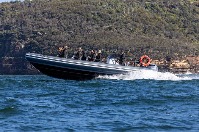 Sydney Whale Watching on Small RIB - Price, value, and how to judge $98.93 the smart way