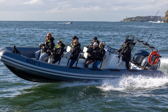 Sydney Whale Watching on Small RIB - Who this whale watching on a small RIB is best for