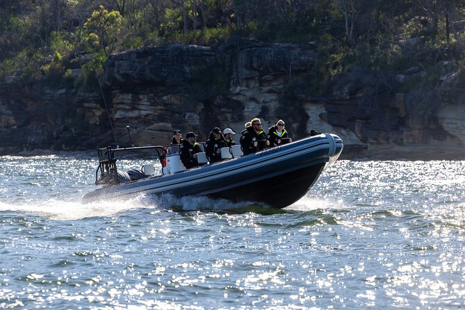 Sydney Whale Watching on Small RIB - Getting to the whale search area: fast timing, real scan time
