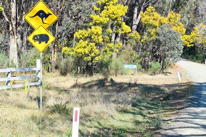 Sydney Wildlife Safari - Bowral lunch and the conservation briefing that keeps it real