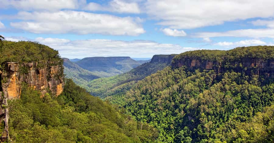 Sydney: Wildlife, Waterfalls and Wine Small Group Tour - Guide Energy: How Emma, Tony, Steve, and Jackie Shape the Day