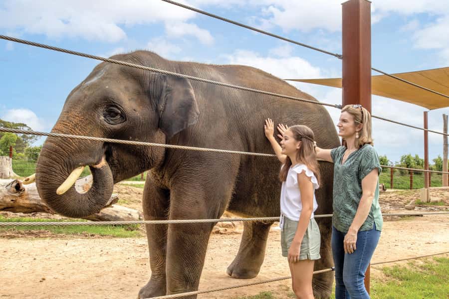 Sydney Zoo Admission Ticket - Primate Boulevard and south-east Asia: where patience pays off