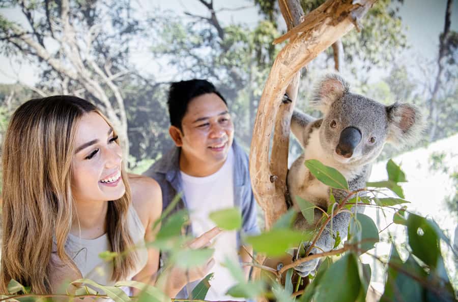 Sydney Zoo Admission Ticket - The Reptile & Nocturnal House: the reason many people plan around it