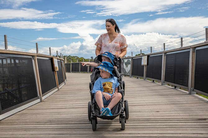 Sydney Zoo General Entry Admission Ticket - Price and logistics: a practical way to plan your 1 to 6 hour visit